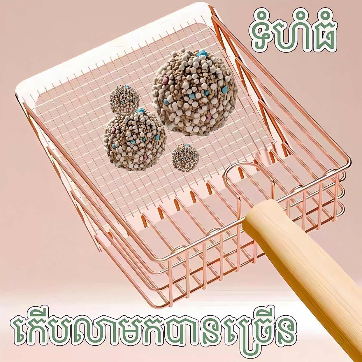 ប្រដាប់ចូកខ្សាច់ឆ្មា