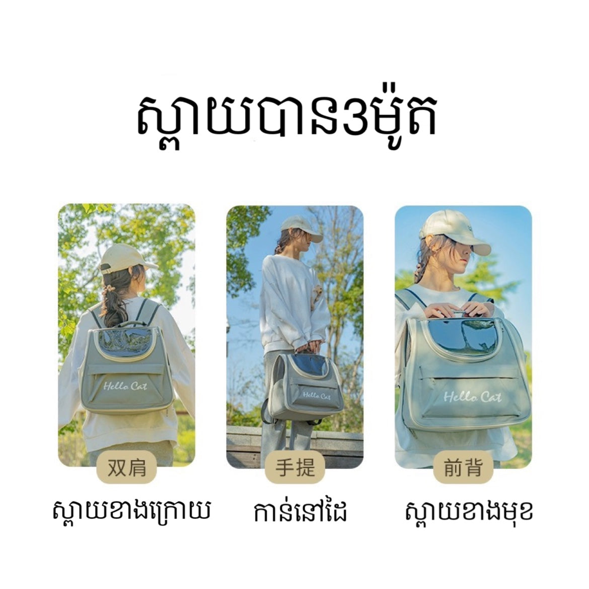 កាតាបឆ្មា