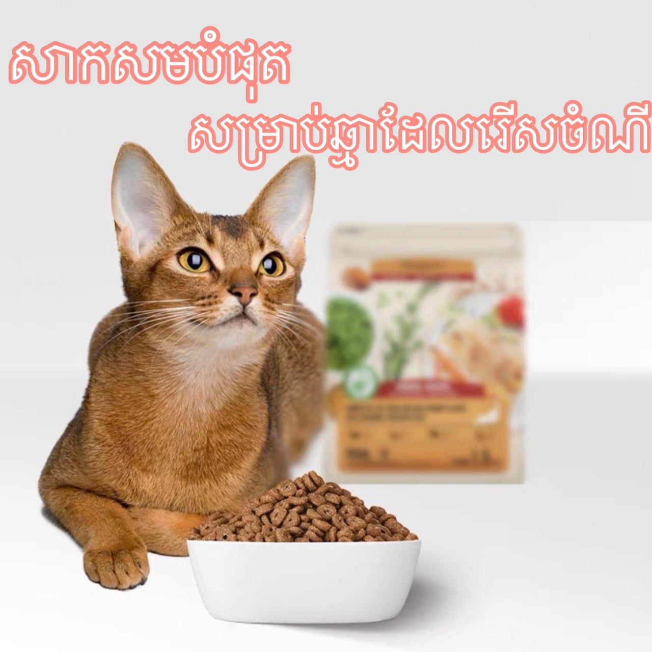 ចំណីឆ្មា Thompson's
