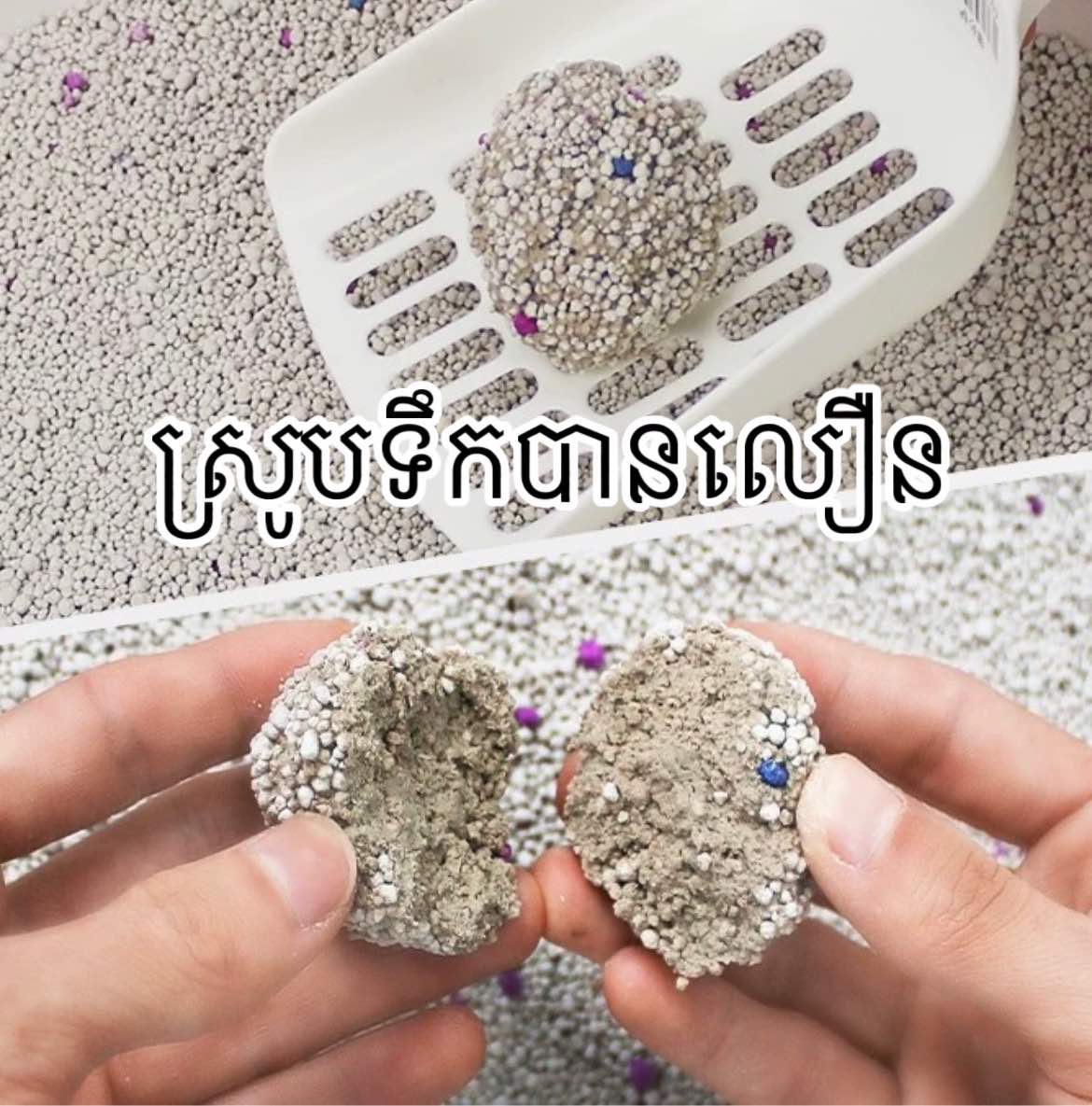 cat litter