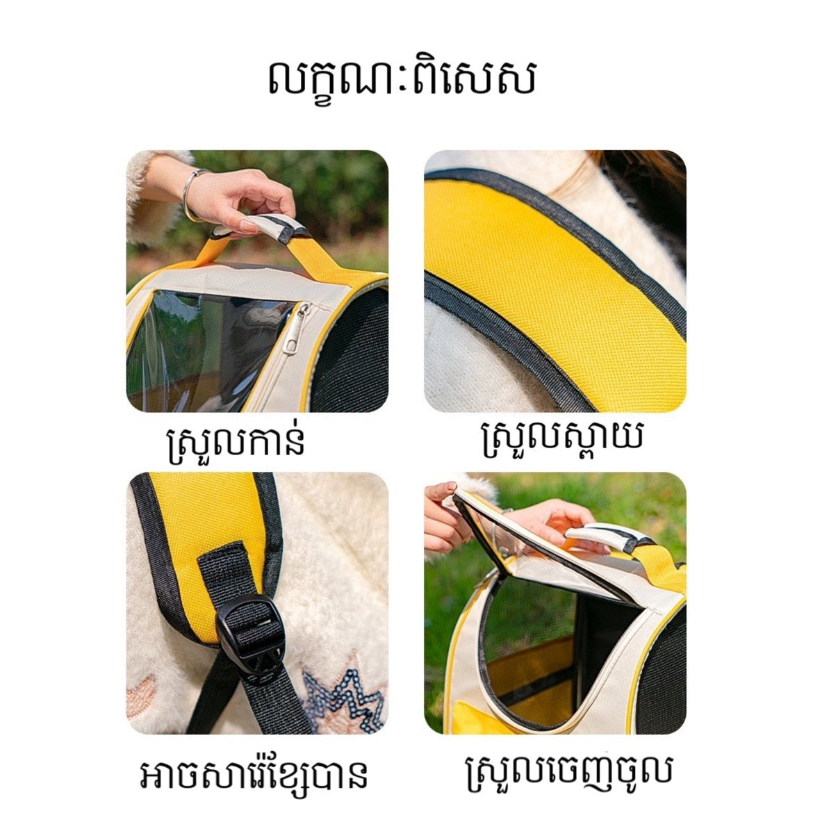 កាតាបឆ្មា