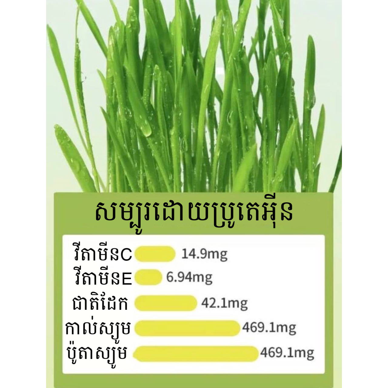 ចំណីឆ្មាបៃតង