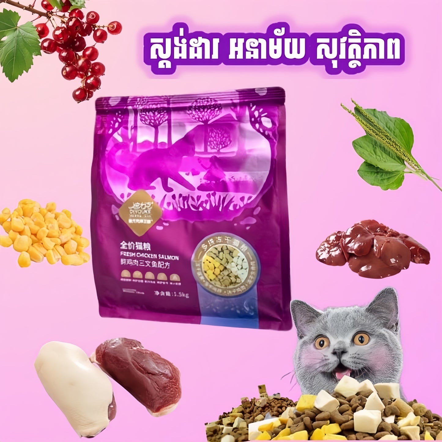 ចំណីឆ្មា DIYOUKE