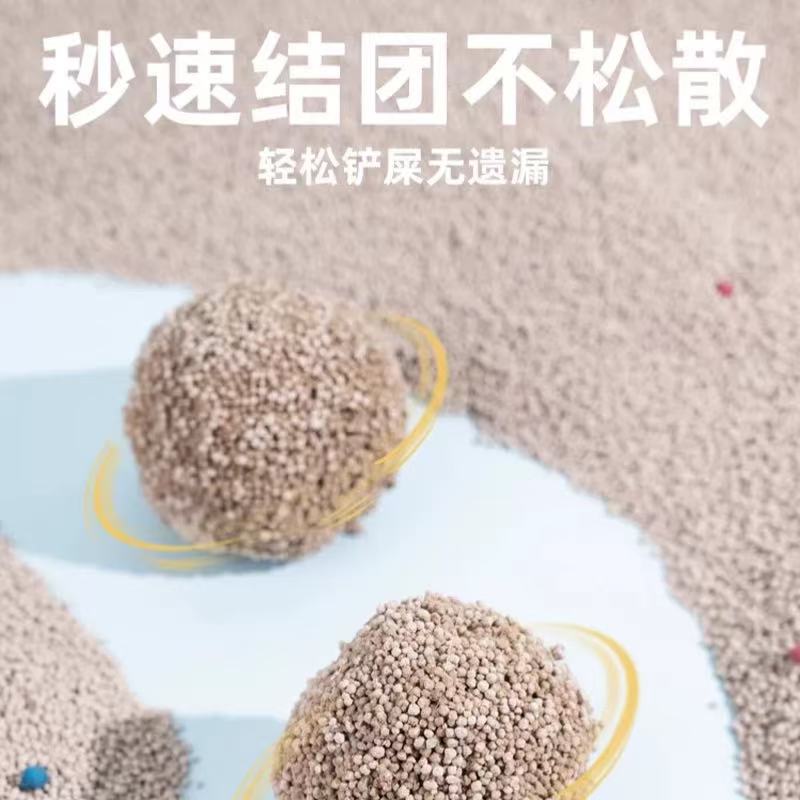 ខ្សាច់ឆ្មា