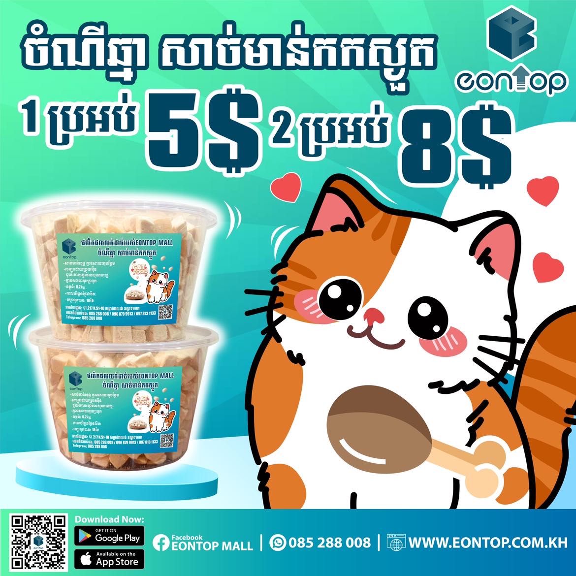 ចំណីឆ្មាសាច់មាន់ដុំ