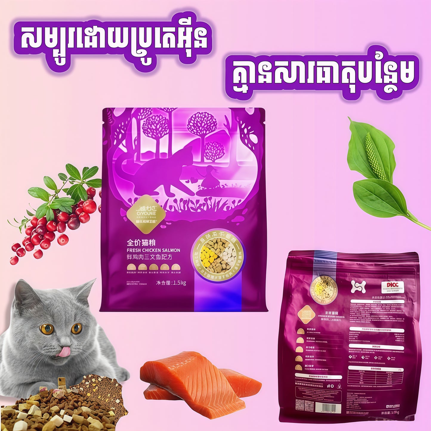 ចំណីឆ្មា DIYOUKE
