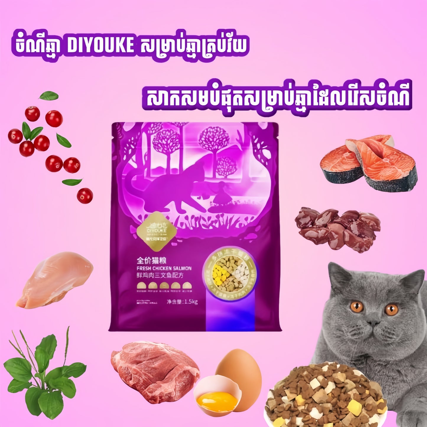 ចំណីឆ្មា DIYOUKE