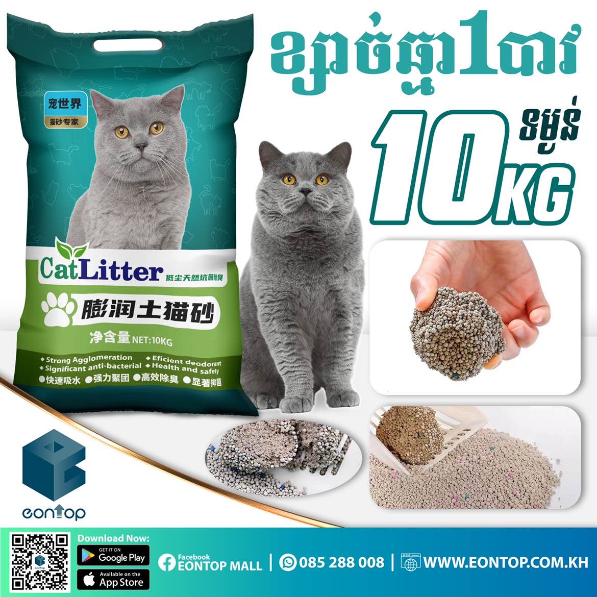 ខ្សាច់ឆ្មា