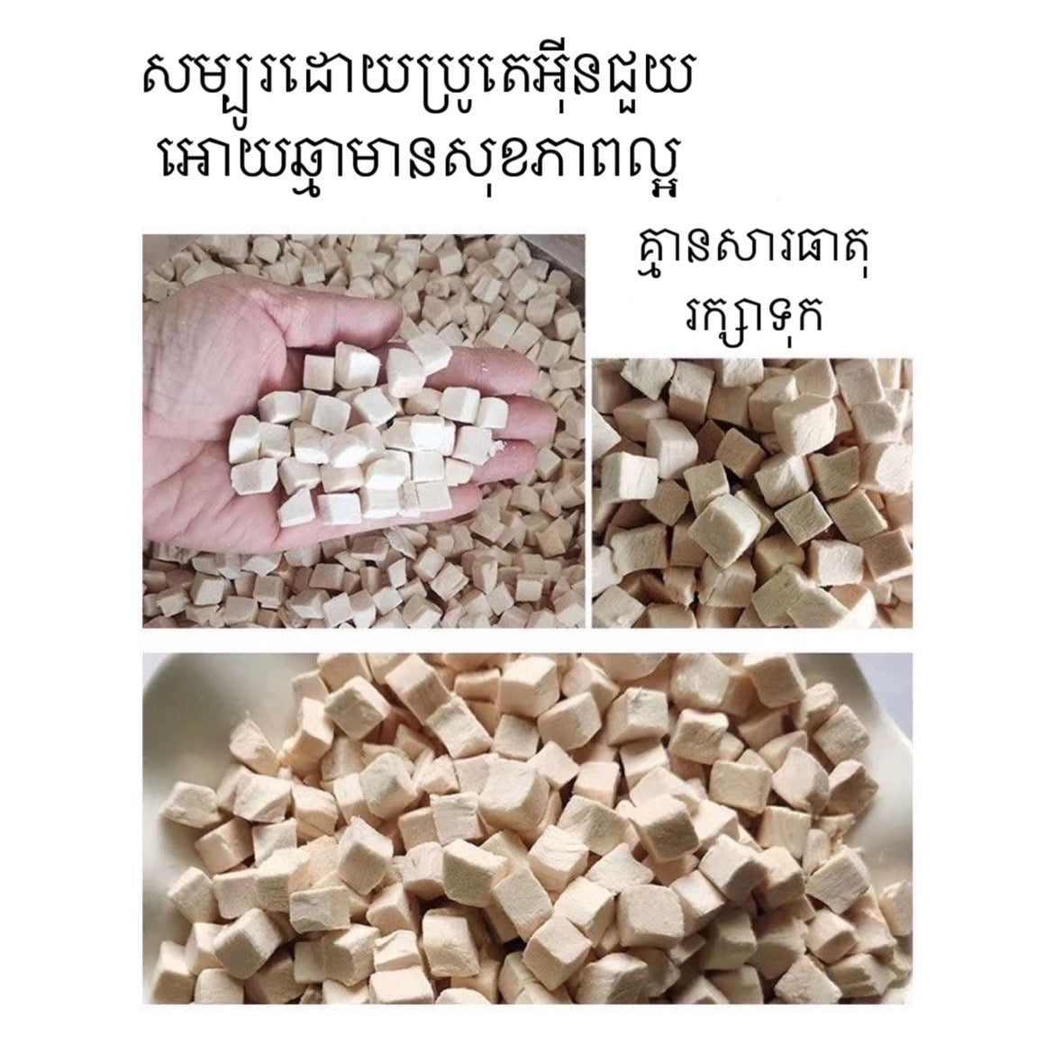 ចំណីឆ្មាសាច់មាន់ដុំ