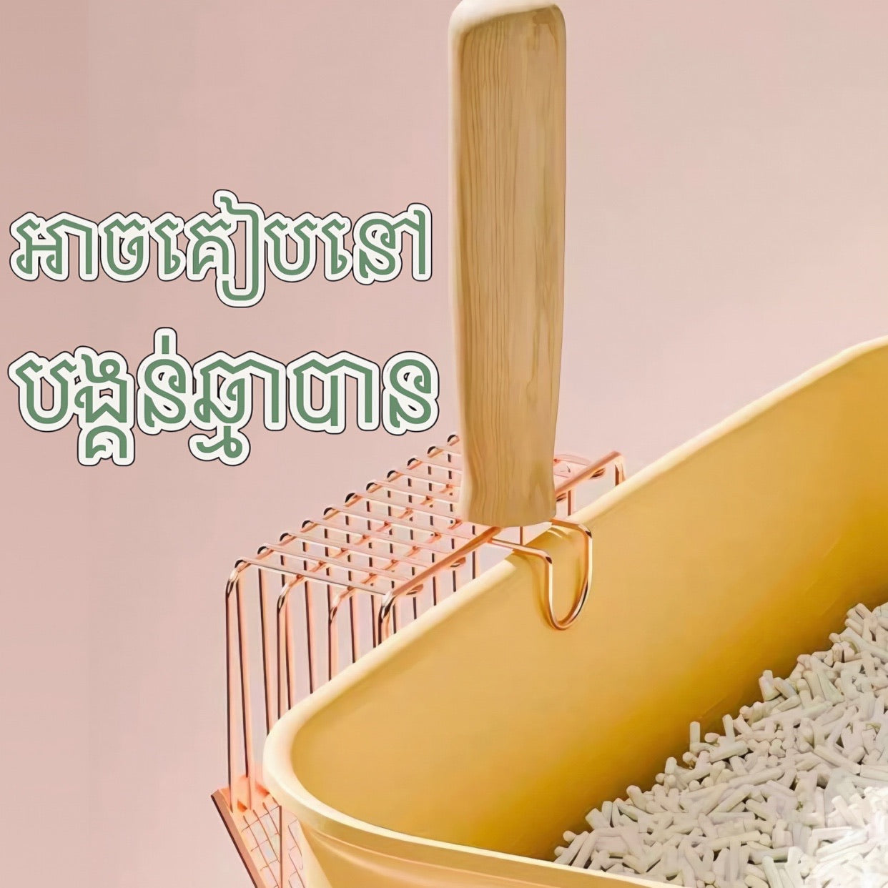 ប្រដាប់ចូកខ្សាច់ឆ្មា