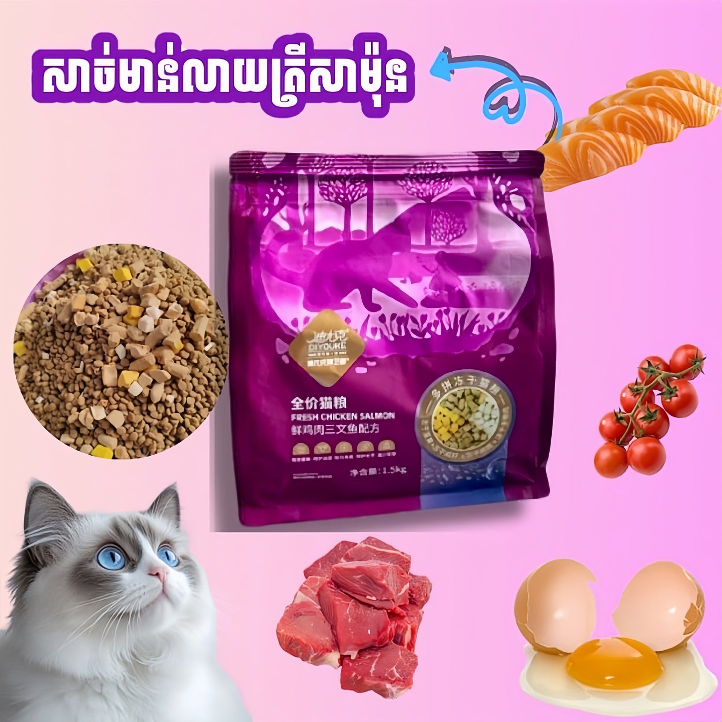 ចំណីឆ្មា DIYOUKE
