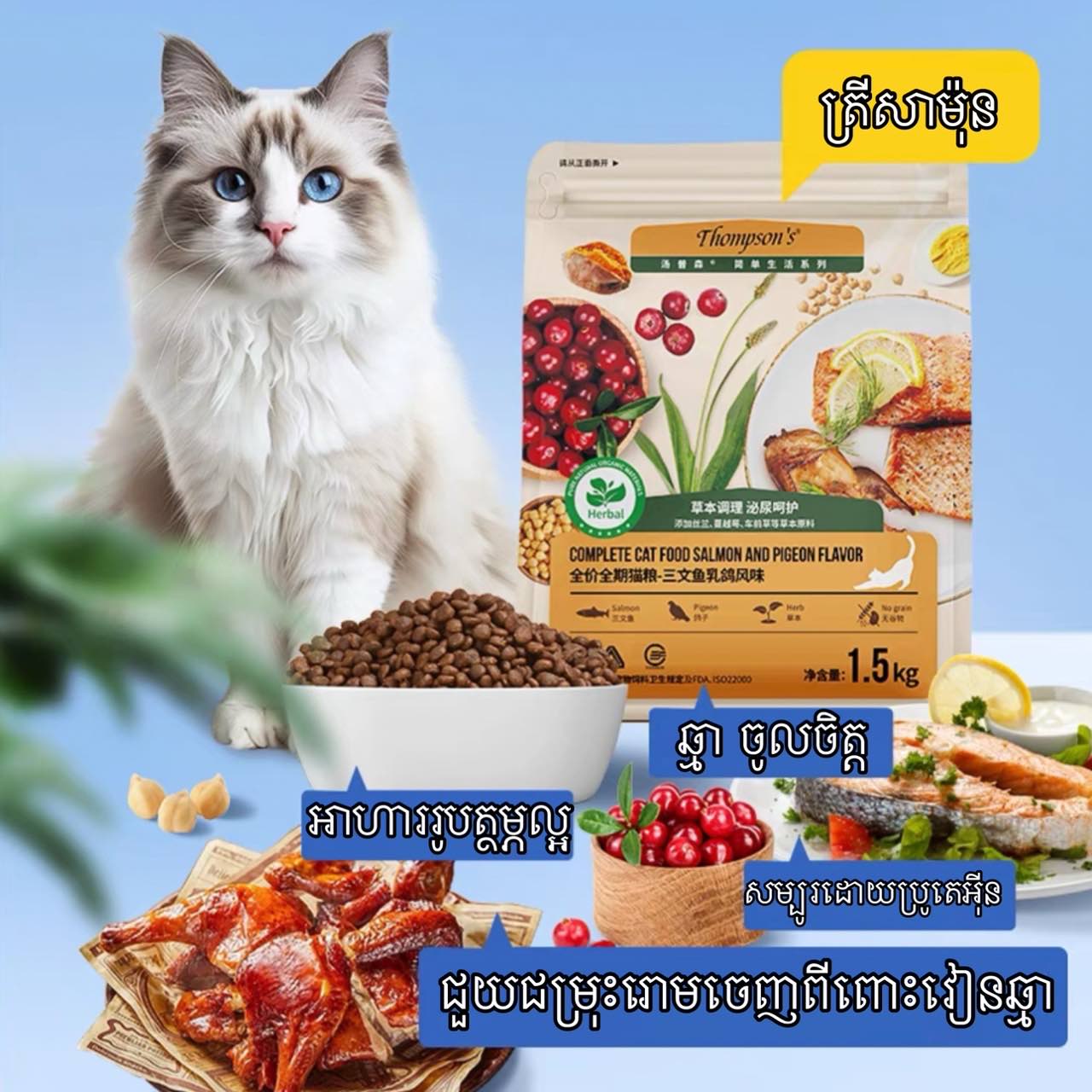 ចំណីឆ្មា Thompson's